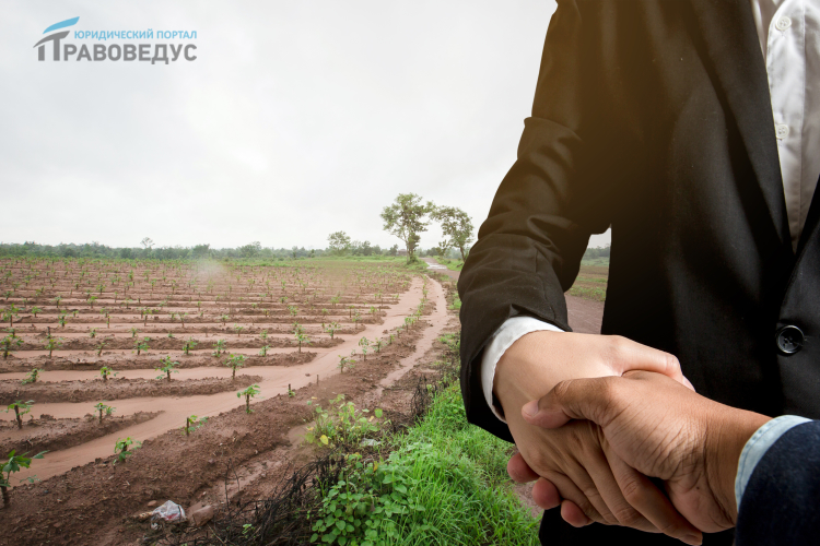 Договор купли-продажи земельного участка